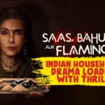 Hotstar-_Saas_-Bahu-Aur-Flamingo_-Indian-Household-Drama-Loaded-With-Thrill-Punjabi-Adda-Blog